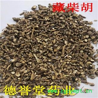 藏柴胡 统 柴胡 产地 甘肃省  德誉堂药业批发各种中药材图4