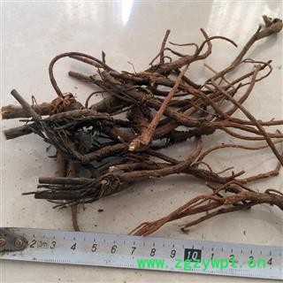 2021产新 柴胡 秦岭柴胡 正宗北柴胡 产地 陕西省秦岭山区图4