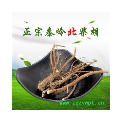 2021产新 柴胡 秦岭柴胡 正宗北柴胡 产地 陕西省秦岭山区