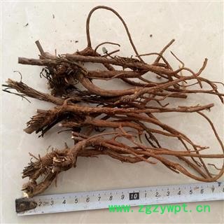 2021产新 柴胡 秦岭柴胡 正宗北柴胡 产地 陕西省秦岭山区图3