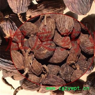 煜庭药业 草果 正品 返现进行中图4