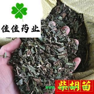 柴胡草 柴胡苗 选装 颜色好 新货 产地 山西省图2