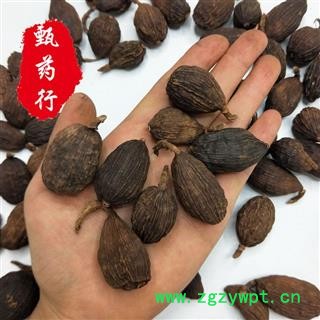 草果 草果统货 一手货源批发 产地云南 甄选药材行图3