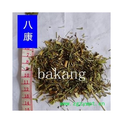 柴胡 杆 柴胡苗