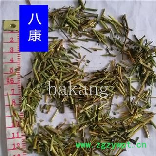 柴胡 杆 柴胡苗图3