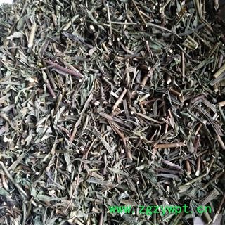 柴胡 柴胡苗统货 产地 内蒙古自治区图3