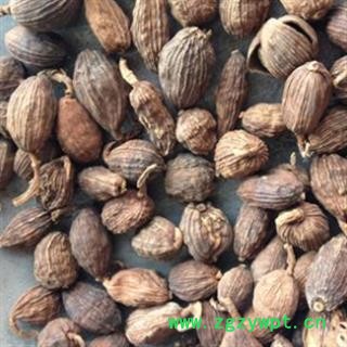 草果 草果选货 产地 广西壮族自治区图3