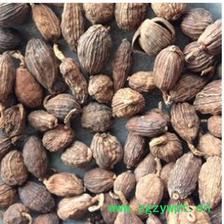 草果 草果选货 产地 广西壮族自治区图2