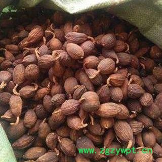 草果 草果统货 产地 云南省  产地直销 重在质量图2