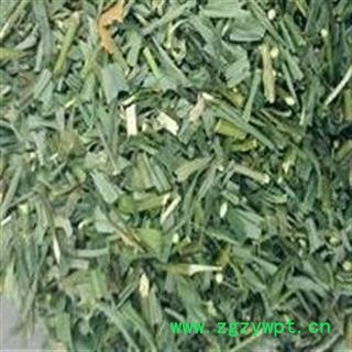 柴胡 柴胡苗 产地 内蒙古自治区图2