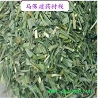 柴胡 柴胡苗 颜色好 产地 内蒙古自治区图2