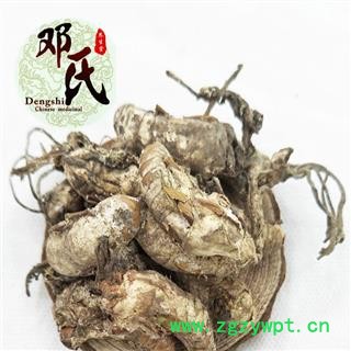【满包邮】蝉花 蝉蛹草 金蝉花 蚕花 统货 优选品质 产地直供 邓氏尚品中药材批发图4