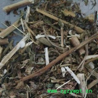 新辉药业正品臭灵丹草 翼齿六棱菊图2