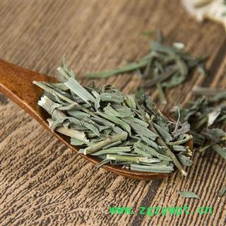 竹叶柴胡 柴胡苗新货 产地 内蒙古自治区图3