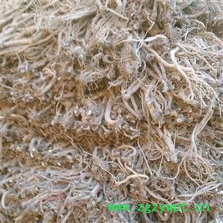 川牛膝片1000克促销批发甜牛膝选装无硫过0.6以上 大货批发价图2