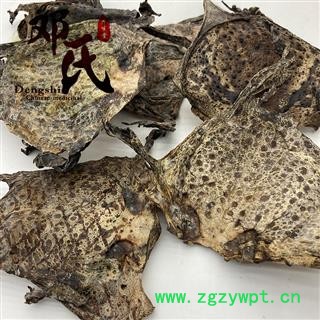 蟾皮 干蟾皮 蟾衣 癞蛤蟆皮 蟾蜍皮 统货 产地 辽宁省 邓氏中药材批发图4