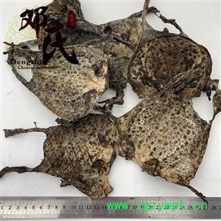 蟾皮 干蟾皮 蟾衣 癞蛤蟆皮 蟾蜍皮 统货 产地 辽宁省 邓氏中药材批发图2