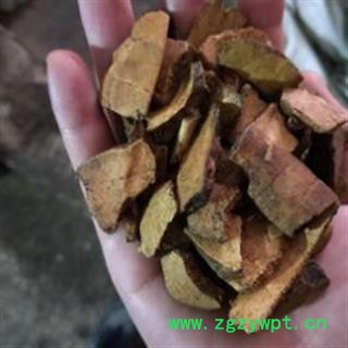 龟甲 大片 产地 福建省图2