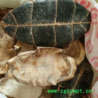 龟板 龟板 旱龟板 纯正品旱龟板 选图2