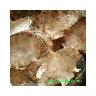 龟板  正品旱龟板 统货 产地 江西省