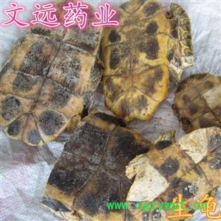 龟甲 选  制龟板 炒龟甲 龟板 产地 湖北省武汉市市辖区图3