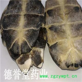 德誉堂药业 龟板 选 龟板 旱龟板 产地 湖北图4