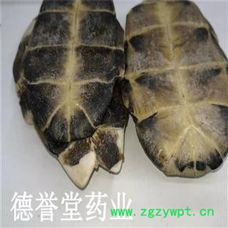 德誉堂药业 龟板 选 龟板 旱龟板 产地 湖北图3