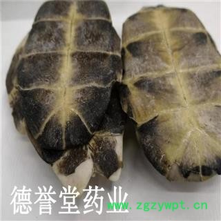 德誉堂药业 龟板 选 龟板 旱龟板 产地 湖北图2