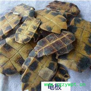 龟板 旱龟板正品保证质量7天无理由退货退款 中药材批发 丽丽药业图2