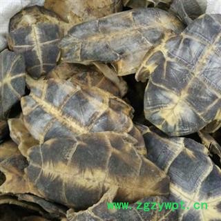 龟板 旱龟板正品保证质量7天无理由退货退款 中药材批发 丽丽药业图4