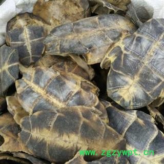 龟板 旱龟板正品保证质量7天无理由退货退款 中药材批发 丽丽药业图3