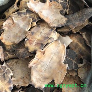 龟甲 龟下甲 正品 旱龟板 陈货干度好 产地 湖北省宜昌市兴山县 买好药找娟子图2