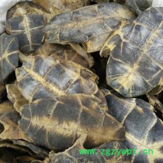 龟板旱龟板正品保证质量7天无理由退货退款 中药材批发 丽丽药业图2