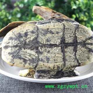 【满298元包邮】龟甲 旱龟板选装 产地 湖北省 1000克1袋图2