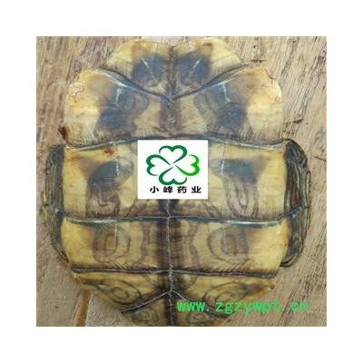 龟甲 水龟板 统 新货 肉厚 实货拍摄 小峰药业 重在品质 产地 广东省