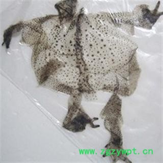 整支蟾皮 蟾衣 质量好 价格低 产地直销  产地 山东省图2