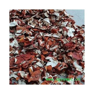 陈皮 个 产地 浙江省宁波市余姚市