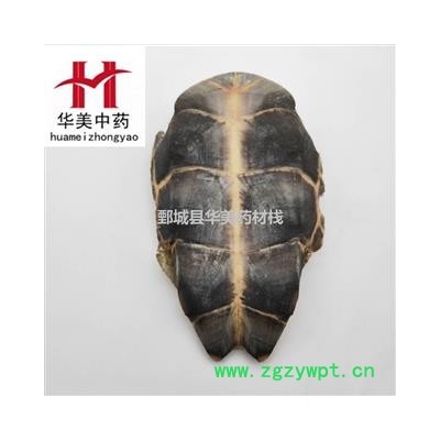 龟板 旱龟板 中华草龟 产地 湖北省 新货 干度好