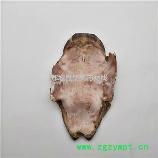 龟板 旱龟板 中华草龟 产地 湖北省 新货 干度好图3