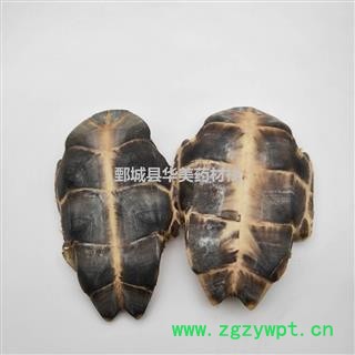 龟板 旱龟板 中华草龟 产地 湖北省 新货 干度好图4