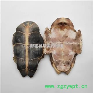 龟板 旱龟板 中华草龟 产地 湖北省 新货 干度好图2
