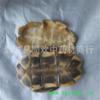 【水龟板】@【同欢药材】中药材批发供应  规格齐全 量大从优 产地 湖北省图2