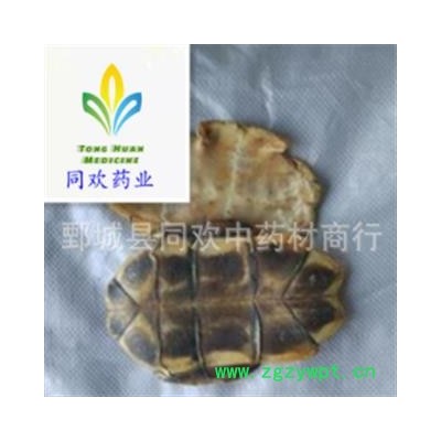 【水龟板】@【同欢药材】中药材批发供应  规格齐全 量大从优 产地 湖北省