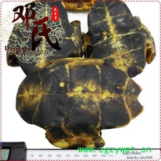 【满包邮】旱龟板选货生的1公斤起批散装批发产地湖北省 邓氏中药行图2