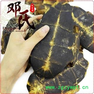 【满包邮】旱龟板选货生的1公斤起批散装批发产地湖北省 邓氏中药行图3