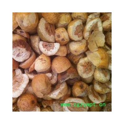 川楝子 新货 颜色好产地直销