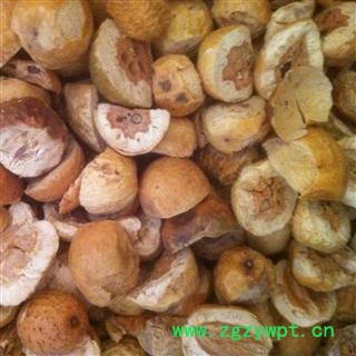 川楝子 新货 颜色好产地直销图2