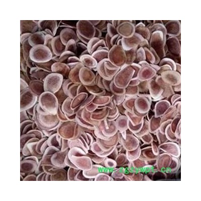 鹿角 鹿角片 产地 吉林省