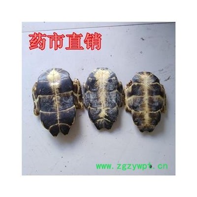 龟板 龟甲 正品选装旱龟板 产地 广东省 产地直销  重在质量