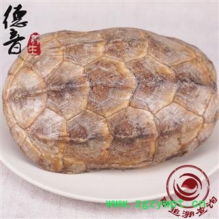 【满包邮】龟甲 选 产地 湖北省 买好货 选德音 正品溯源 规范标准 三证齐全 全品类药材一站购齐图2